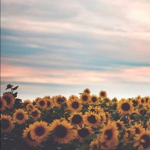 Meet your Posher, Maddie